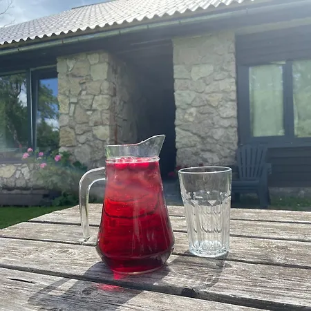 Holiday home Vasarnica Plavinas